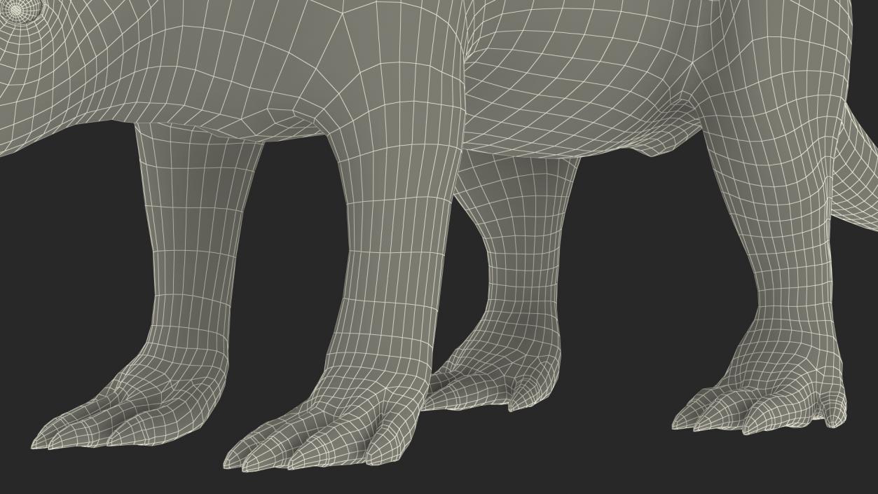 Aardvark Basic Pose 3D model