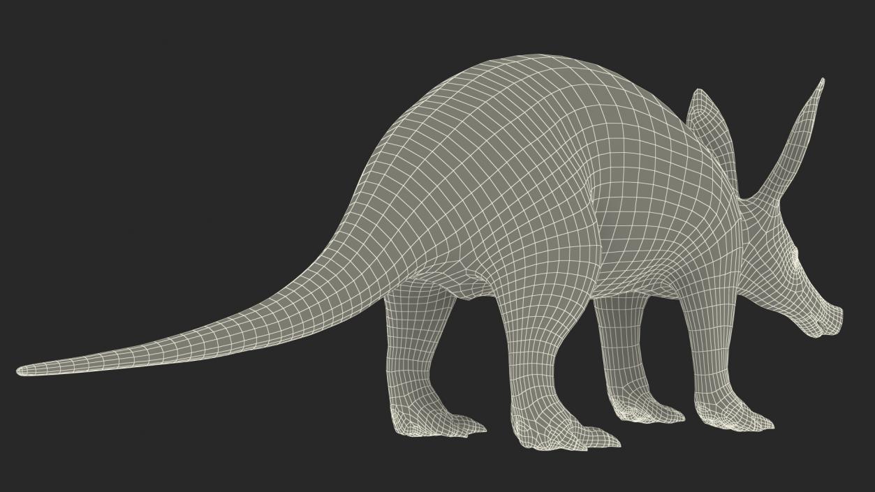 Aardvark Basic Pose 3D model