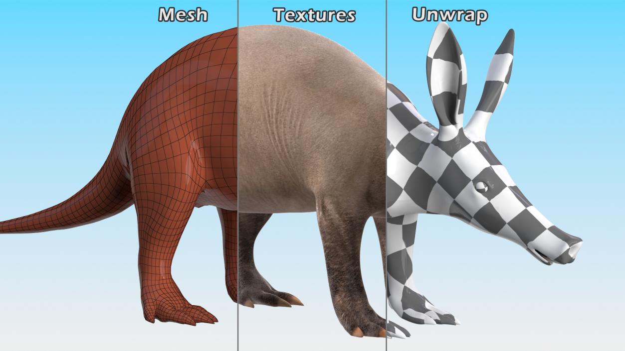 Aardvark Basic Pose 3D model