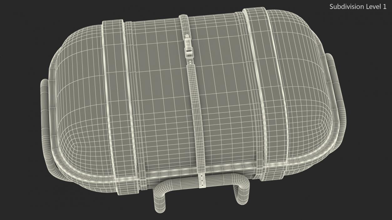 Standard Life Raft  Container 3D model