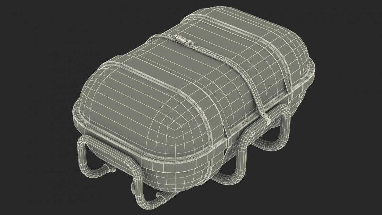 Standard Life Raft  Container 3D model