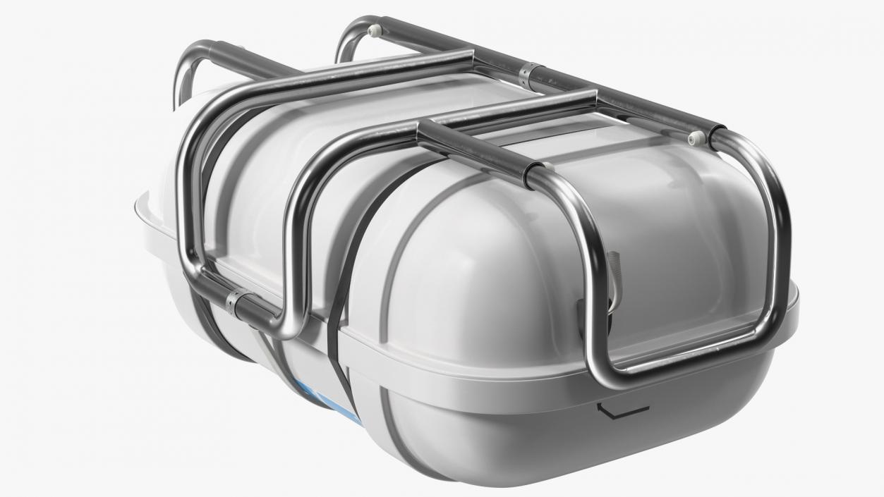 Standard Life Raft  Container 3D model