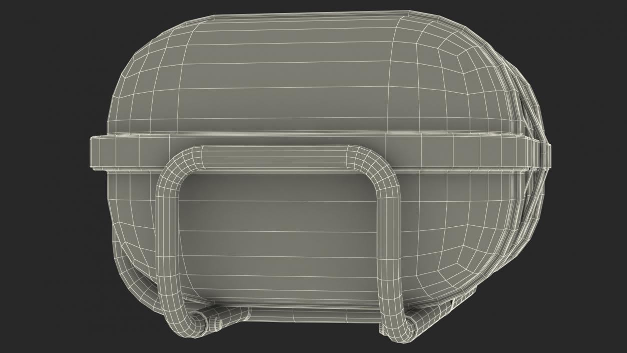 Standard Life Raft  Container 3D model