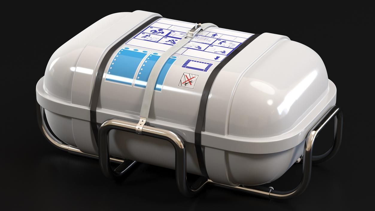 Standard Life Raft  Container 3D model