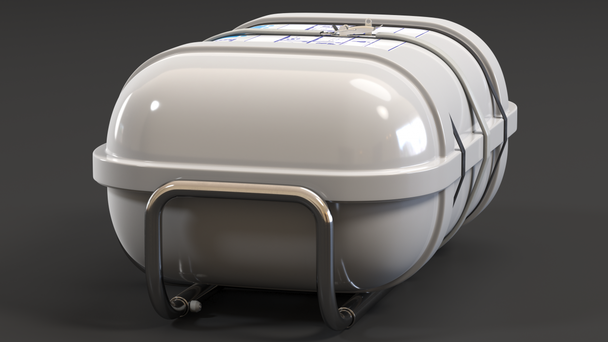 Standard Life Raft  Container 3D model