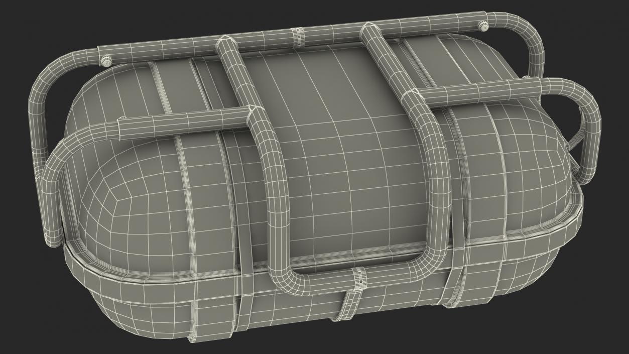 Standard Life Raft  Container 3D model