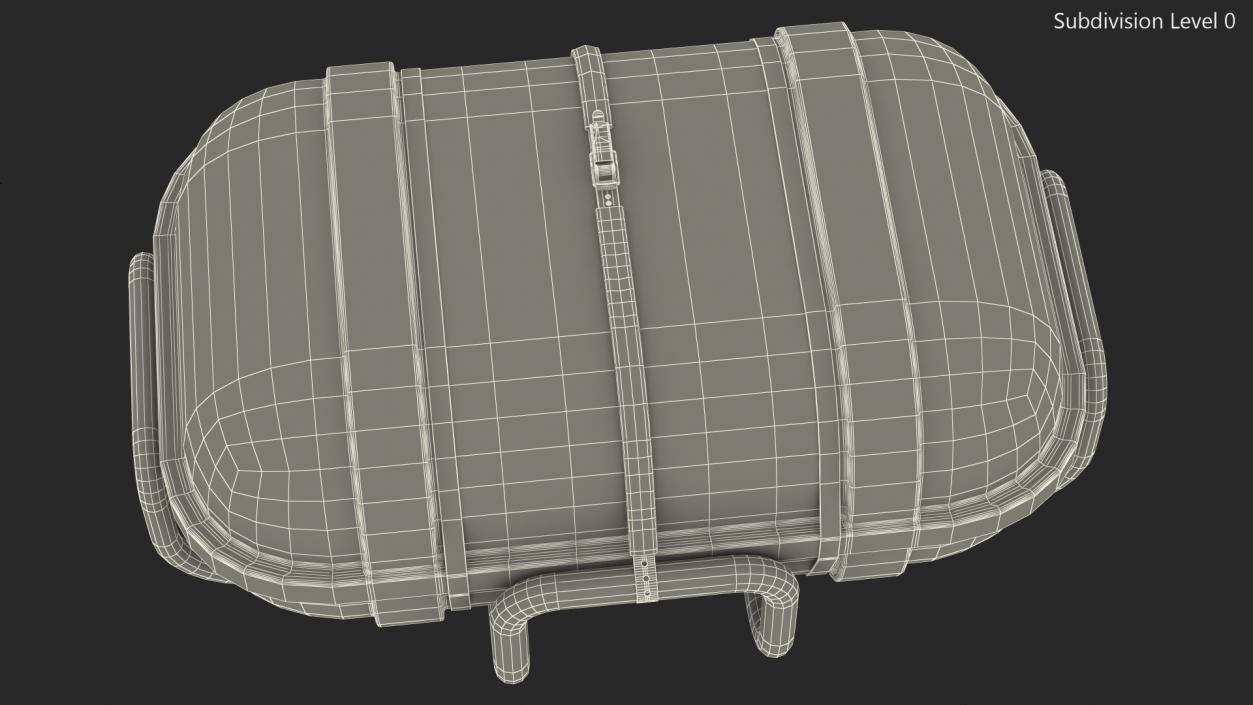 Standard Life Raft  Container 3D model