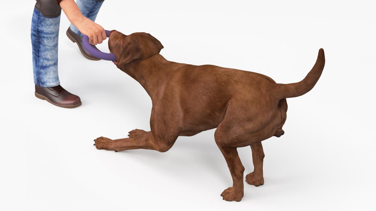 3D model Man Playing with Dog