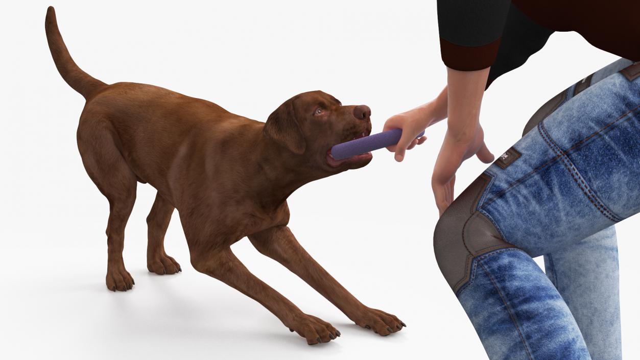 3D model Man Playing with Dog