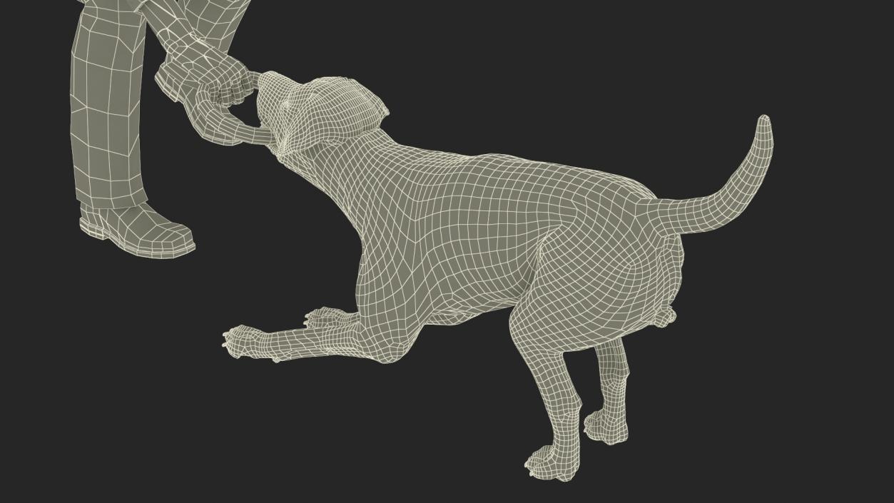 3D model Man Playing with Dog