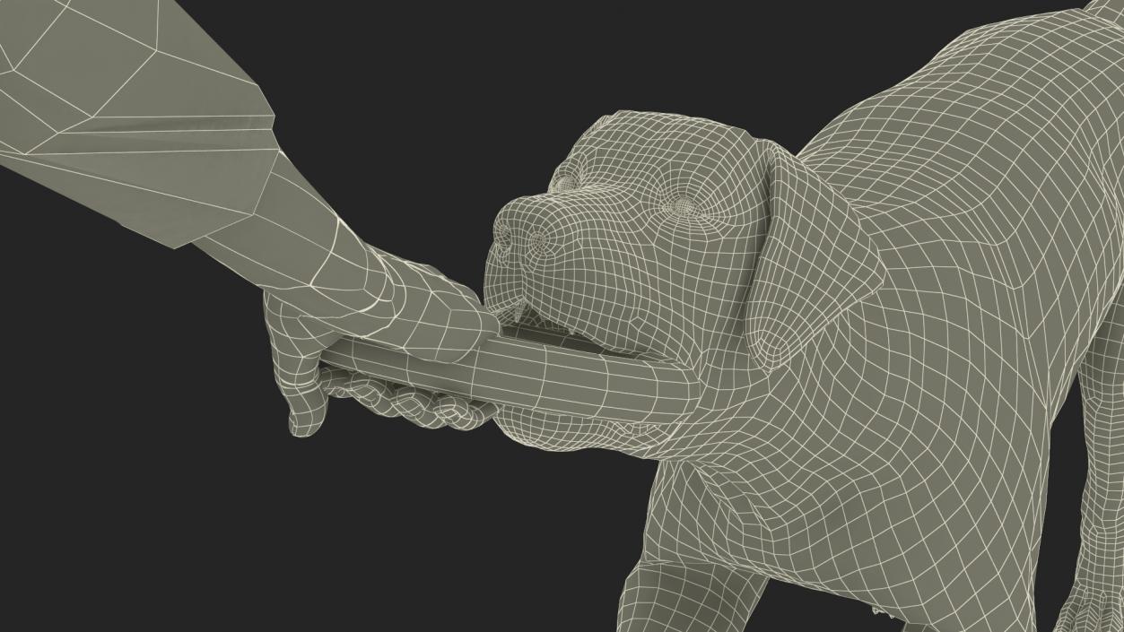 3D model Man Playing with Dog