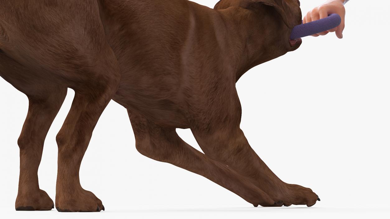 3D model Man Playing with Dog