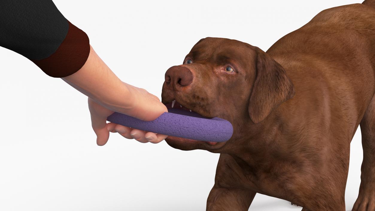 3D model Man Playing with Dog