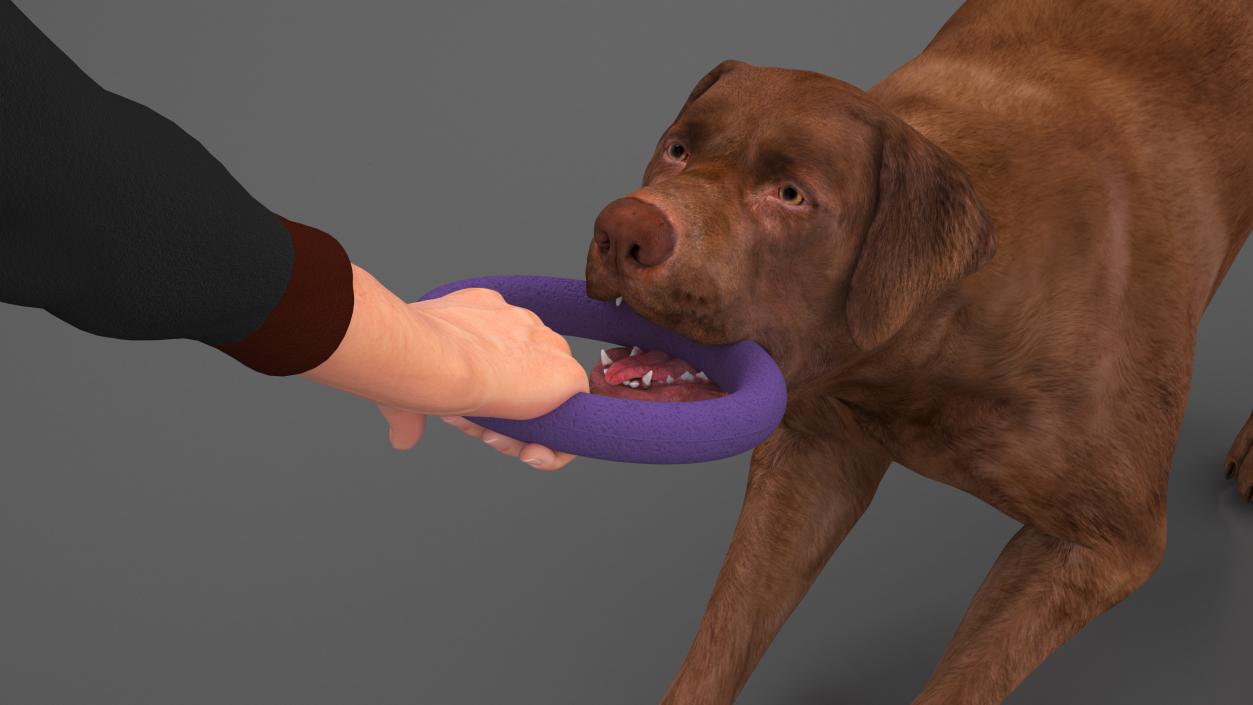 3D model Man Playing with Dog