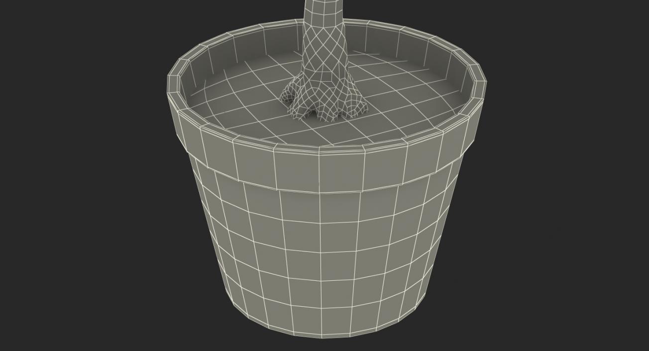 Small Tree In A Pot 3D model