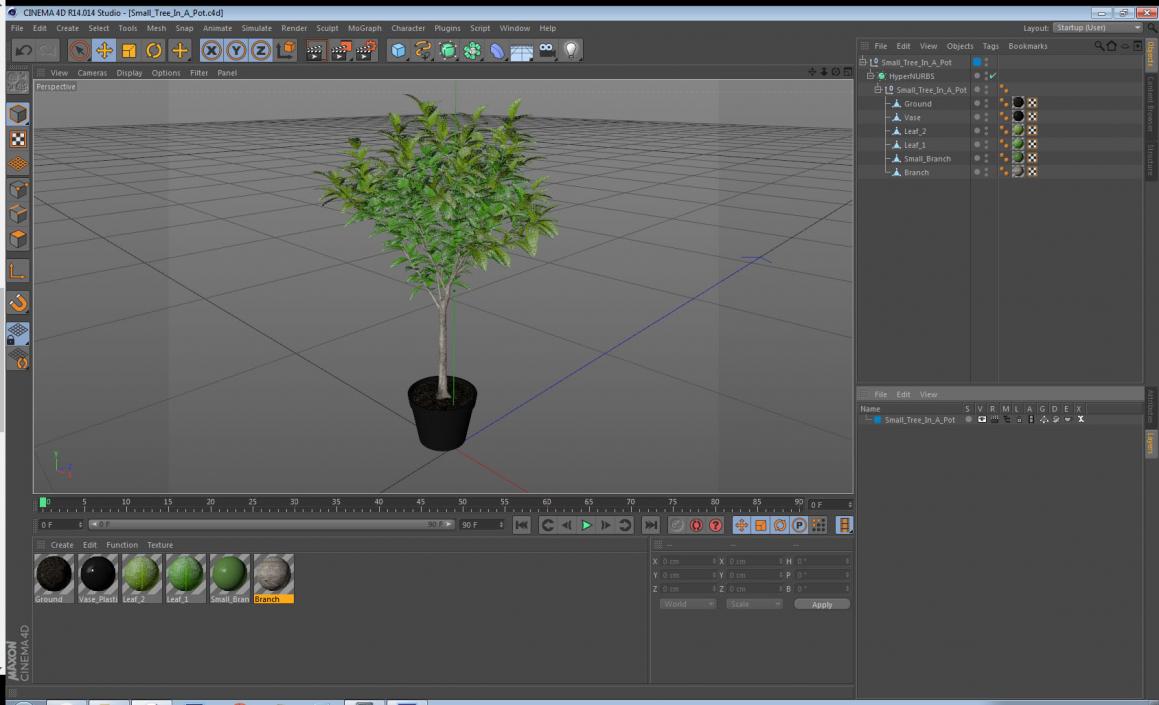 Small Tree In A Pot 3D model