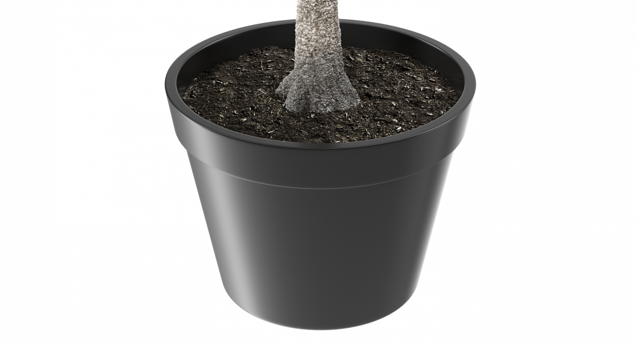 Small Tree In A Pot 3D model