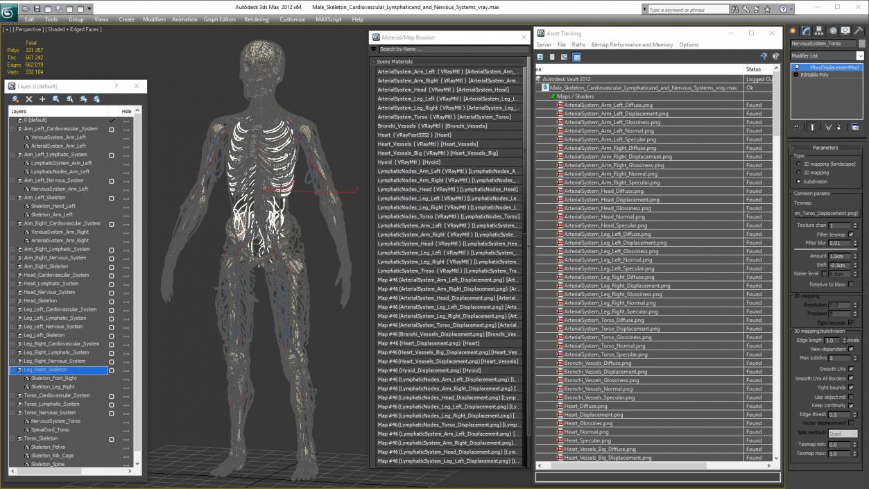 3D Male Skeleton Cardiovascular Lymphaticand and Nervous Systems