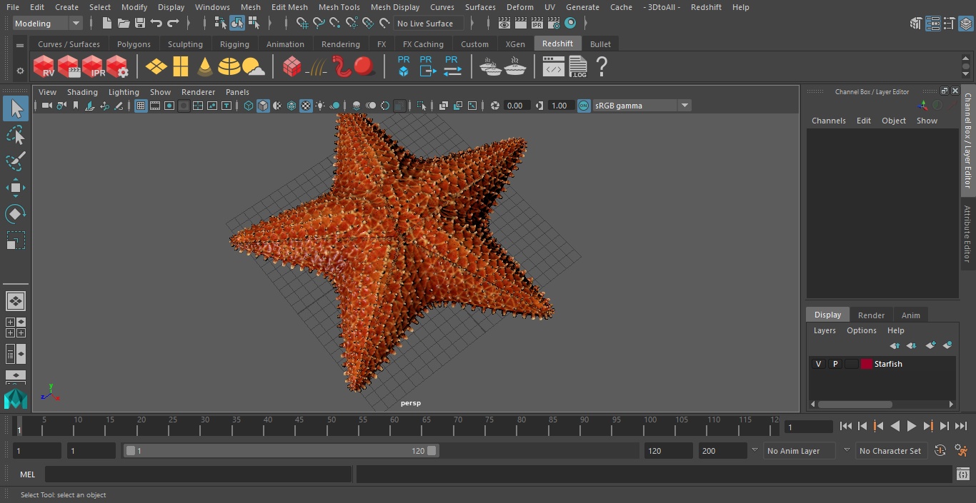 3D model Starfish 3