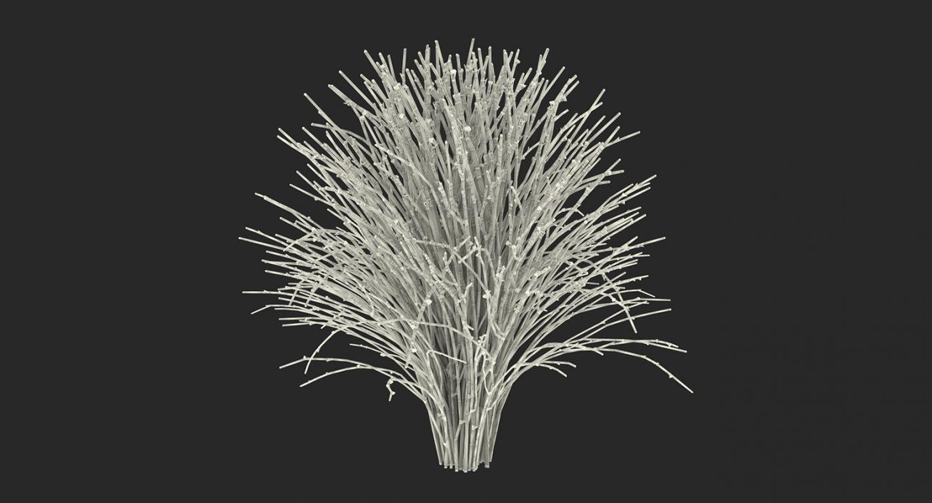 Plants Collection 2 3D model