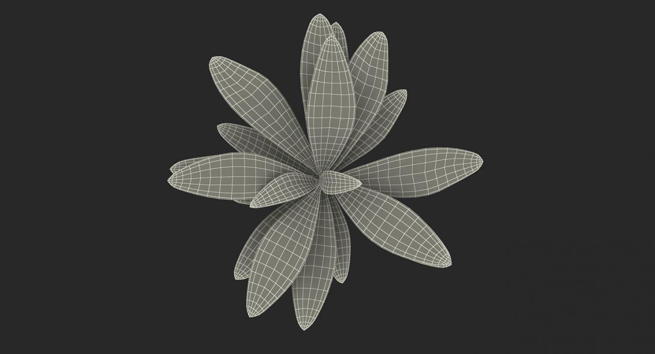 Plants Collection 2 3D model