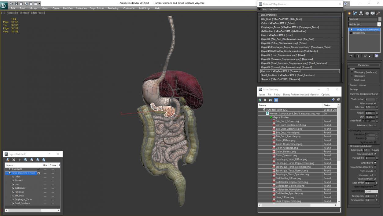 Human Stomach and Small Intestines 3D model