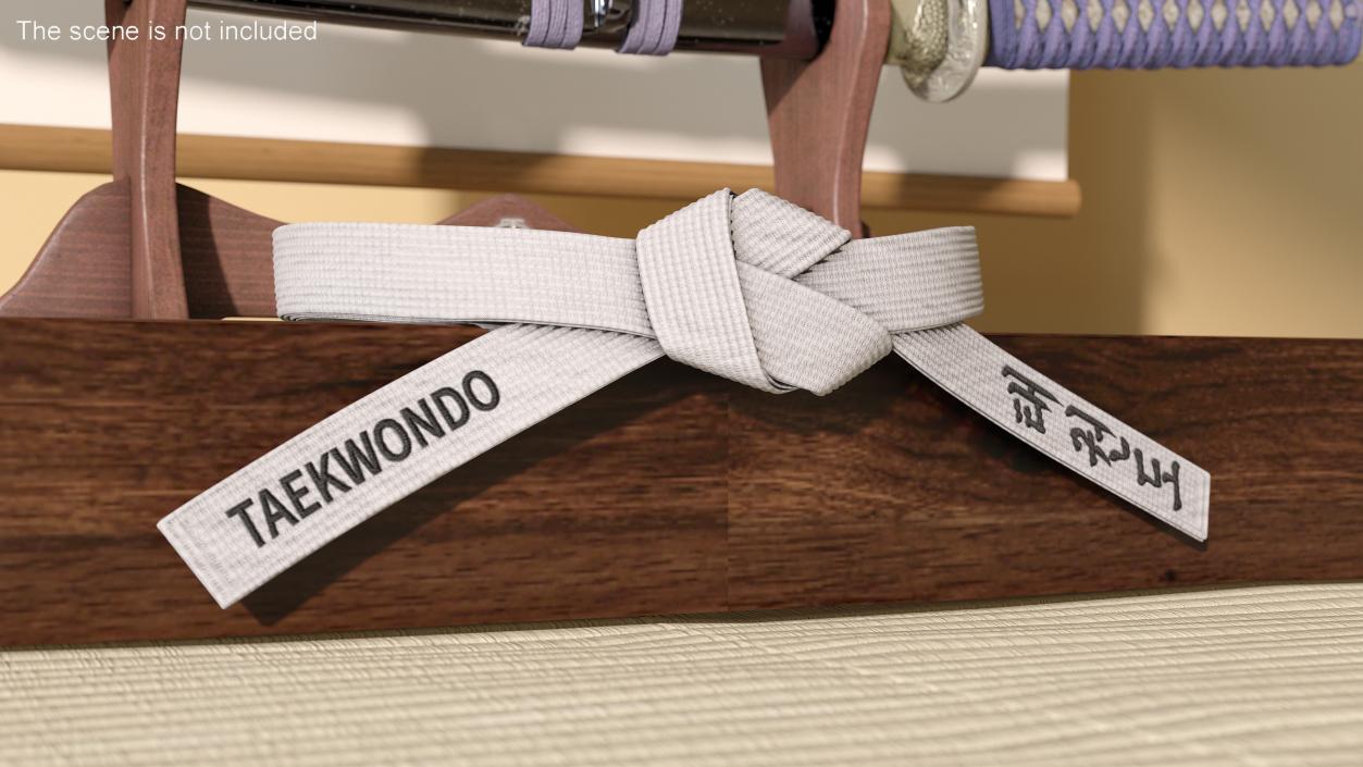 3D model White Waist Taekwondo Belt Obi