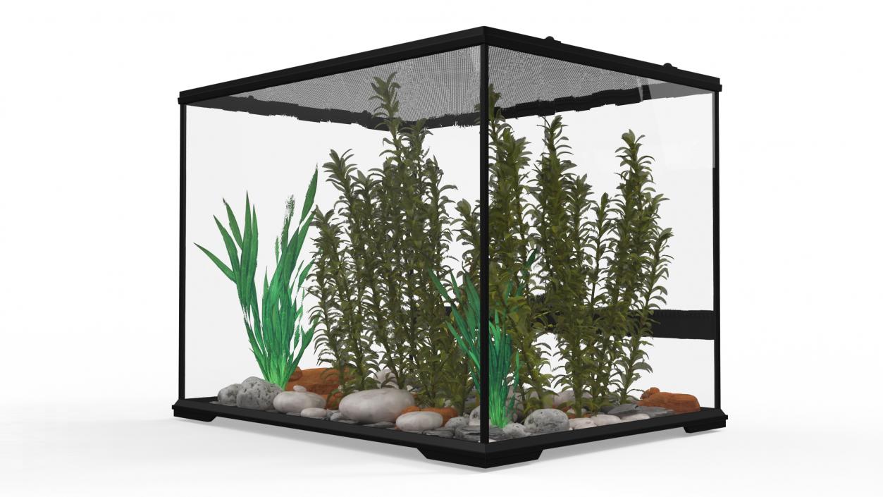 3D Medium Size Plants Terrarium model