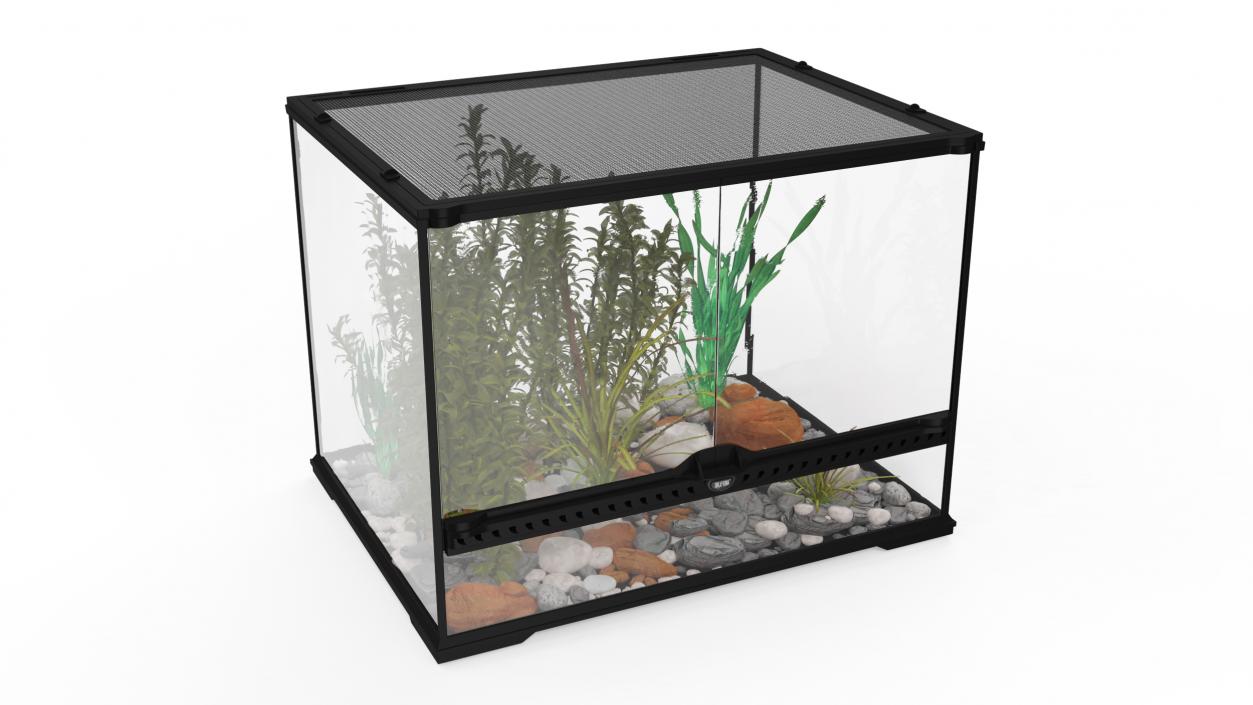 3D Medium Size Plants Terrarium model