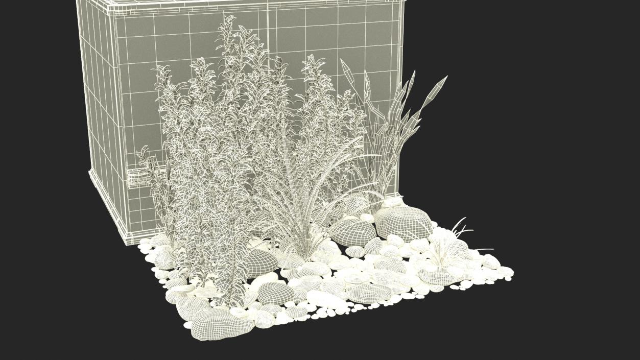 3D Medium Size Plants Terrarium model