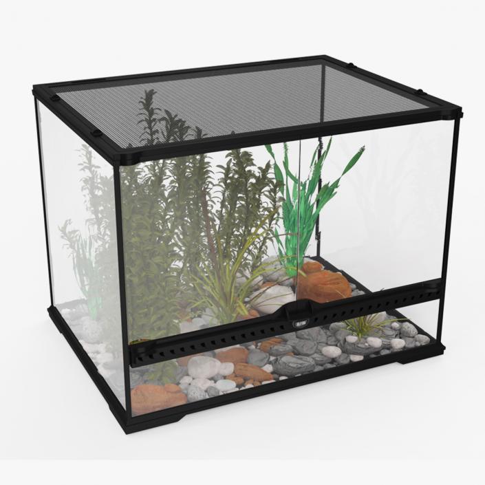 3D Medium Size Plants Terrarium model