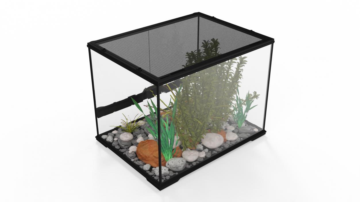 3D Medium Size Plants Terrarium model