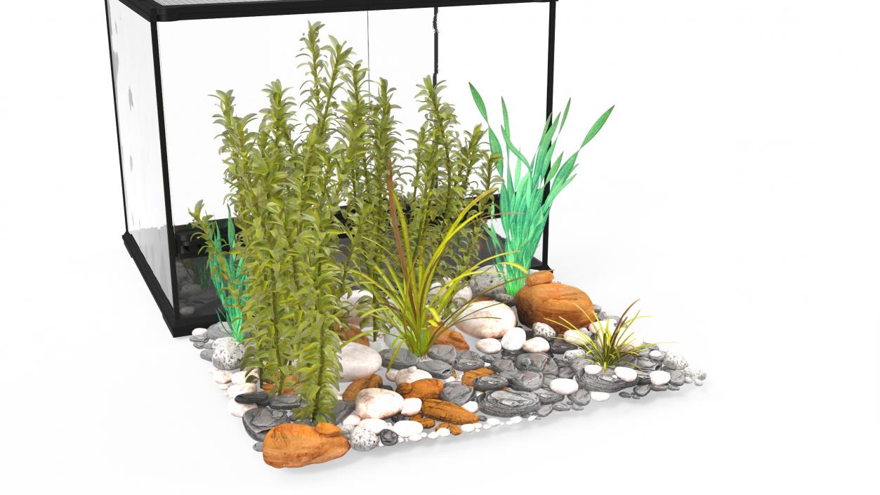 3D Medium Size Plants Terrarium model