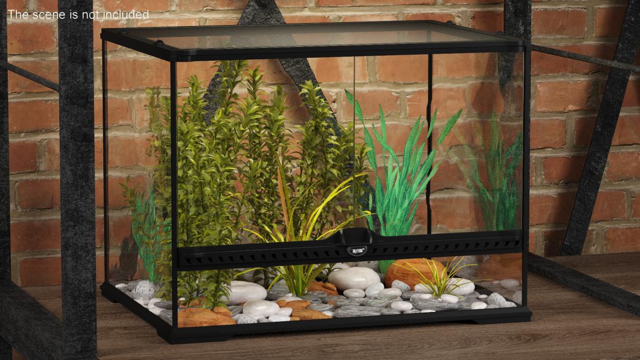 3D Medium Size Plants Terrarium model