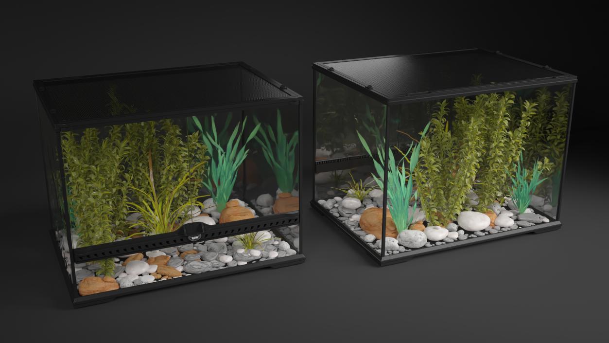 3D Medium Size Plants Terrarium model