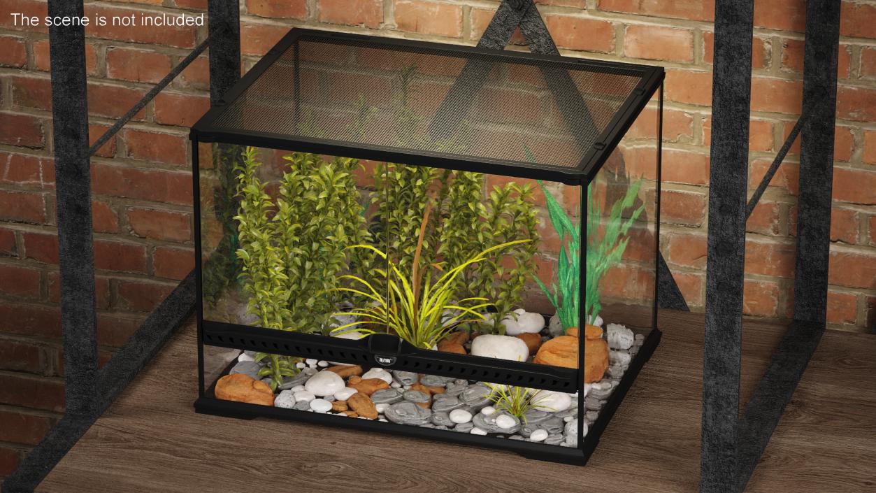 3D Medium Size Plants Terrarium model