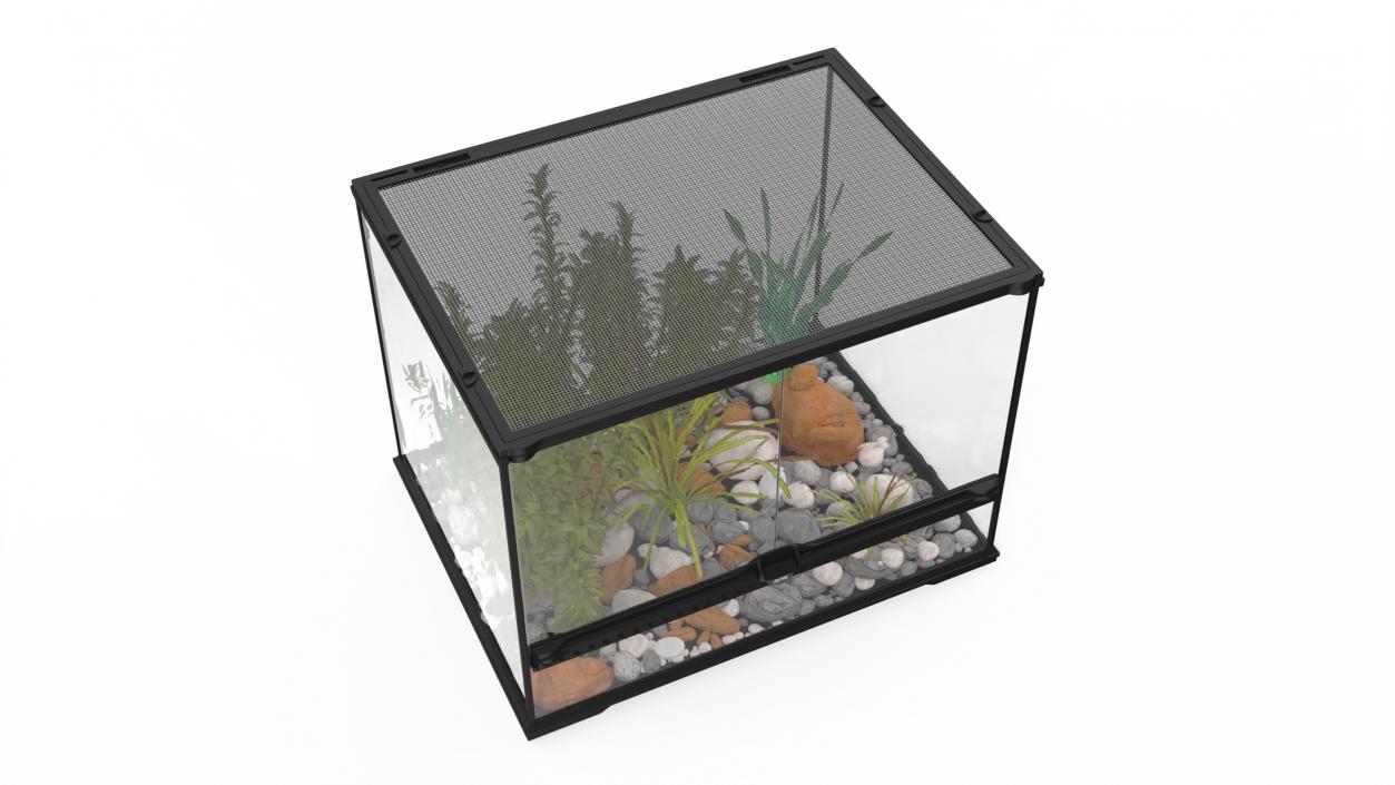 3D Medium Size Plants Terrarium model