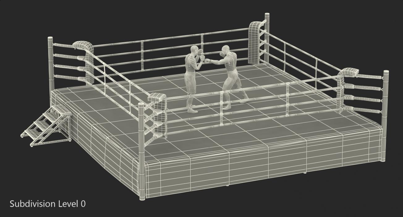 3D model Boxers Fighting In Boxing Ring