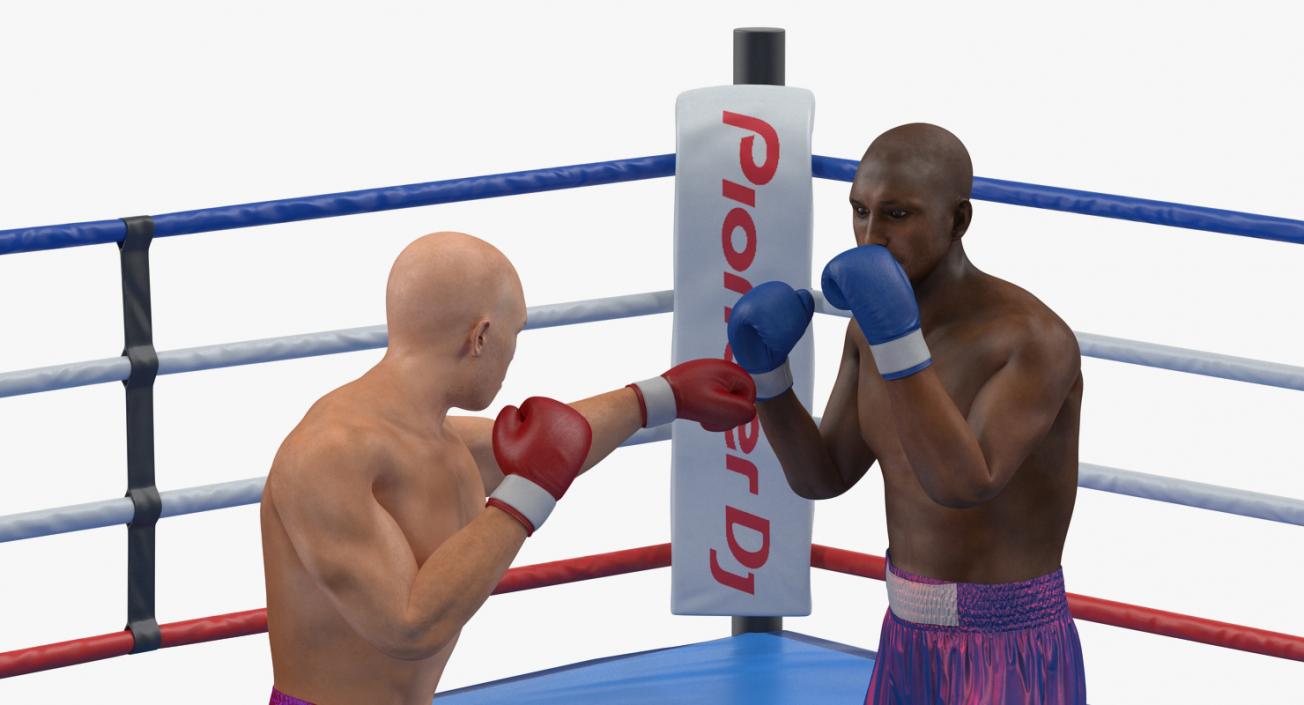 3D model Boxers Fighting In Boxing Ring