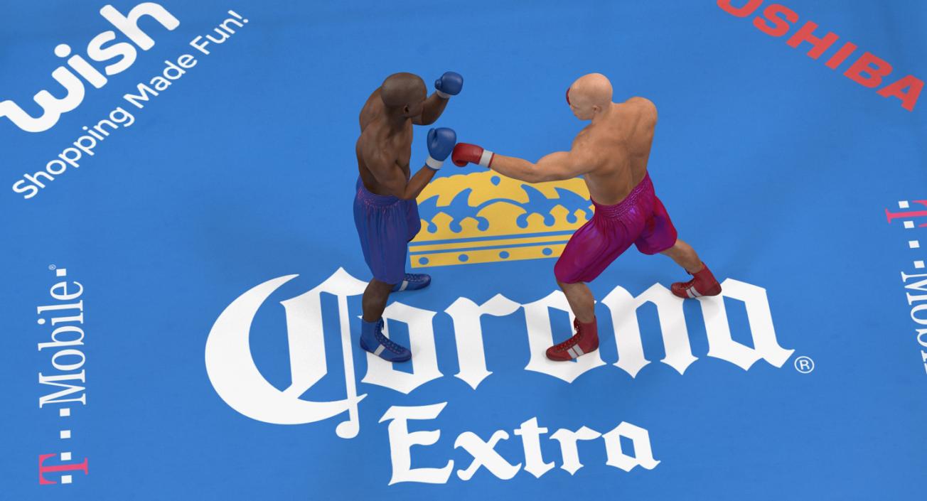 3D model Boxers Fighting In Boxing Ring