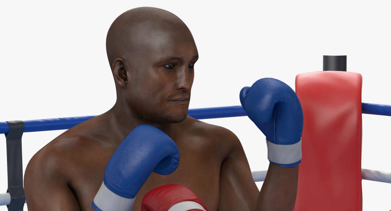 3D model Boxers Fighting In Boxing Ring