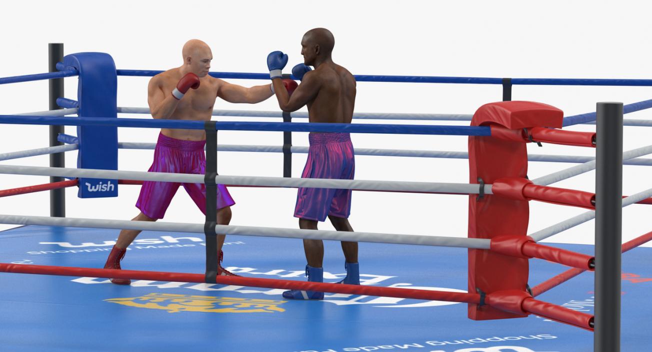 3D model Boxers Fighting In Boxing Ring