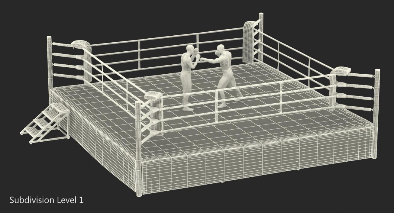 3D model Boxers Fighting In Boxing Ring