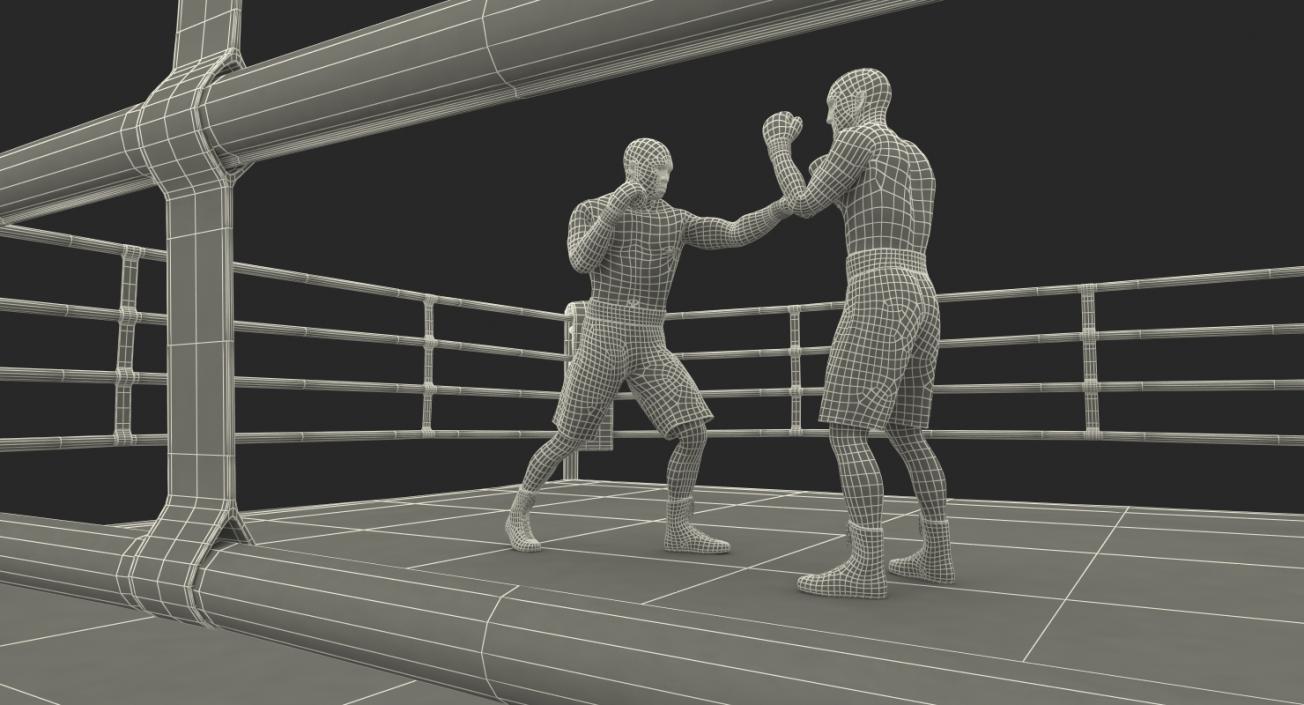 3D model Boxers Fighting In Boxing Ring