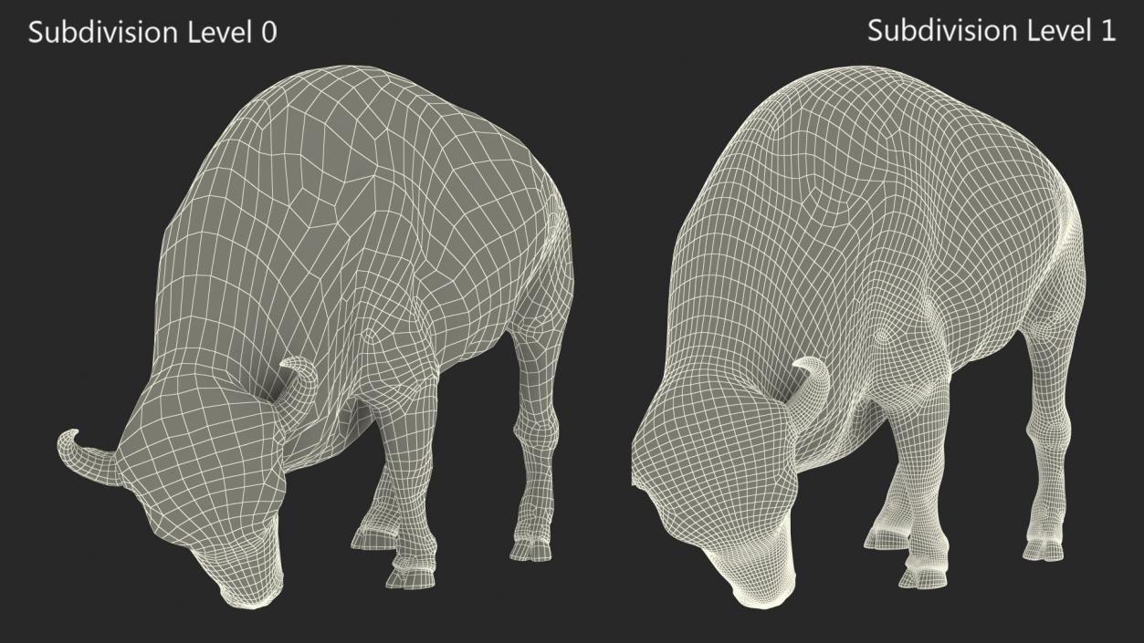 3D Grazing American Bison Bull with Fur