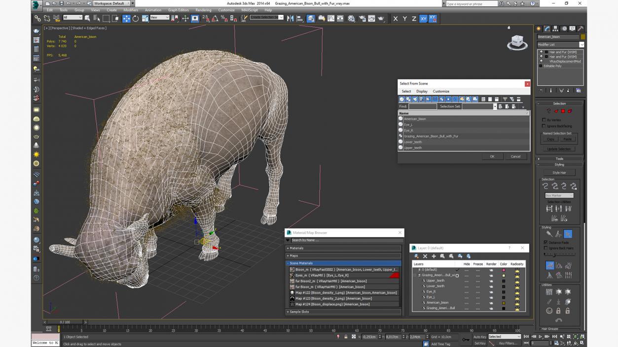 3D Grazing American Bison Bull with Fur