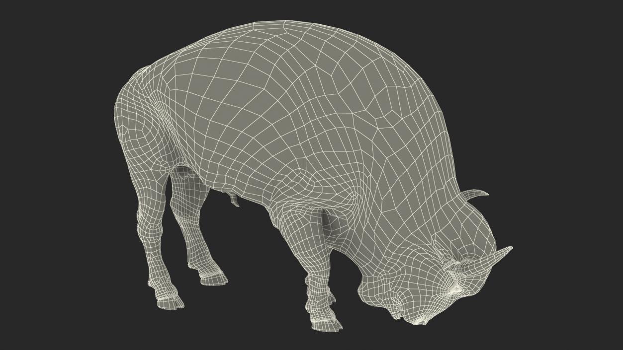 3D Grazing American Bison Bull with Fur