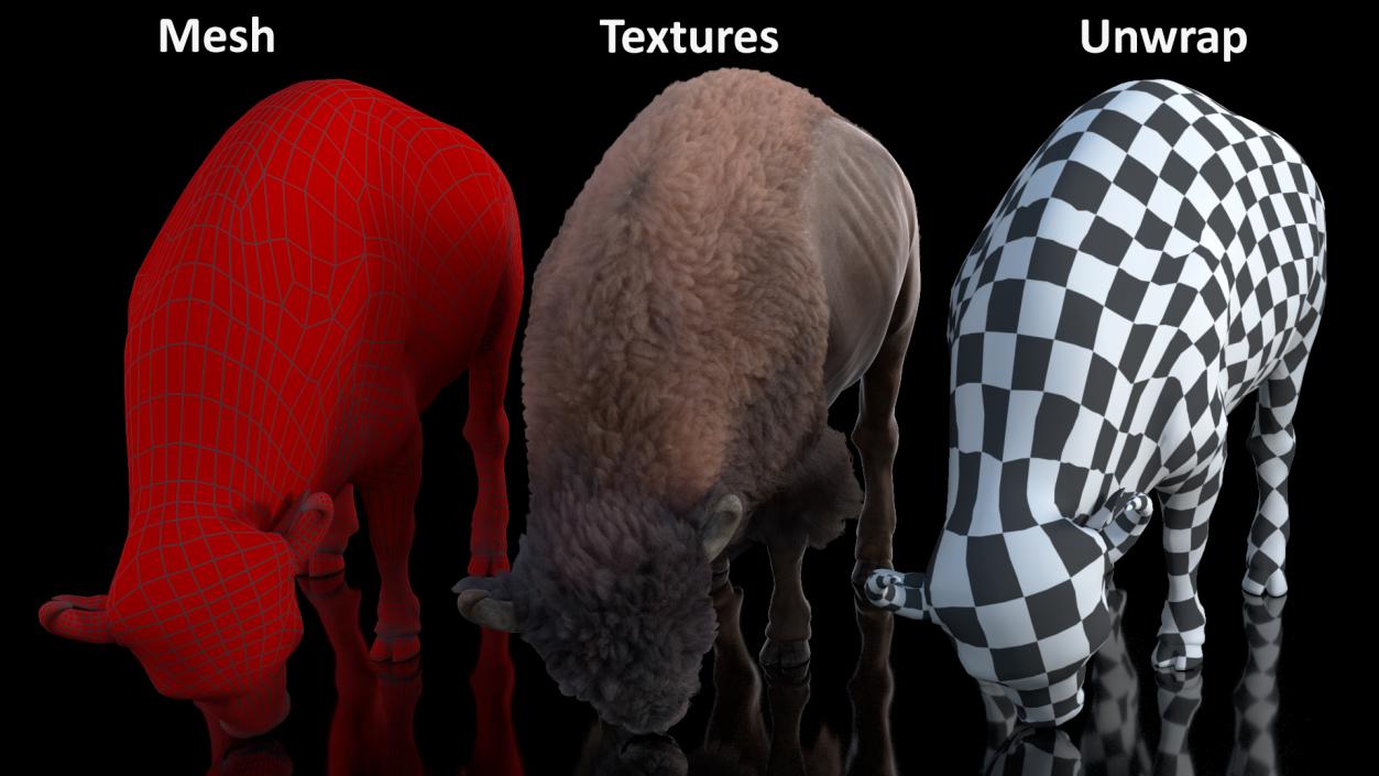 3D Grazing American Bison Bull with Fur