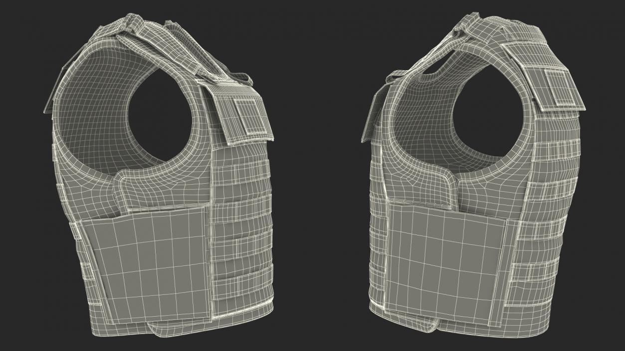 Sheriff Black Body Armor Carrier 3D