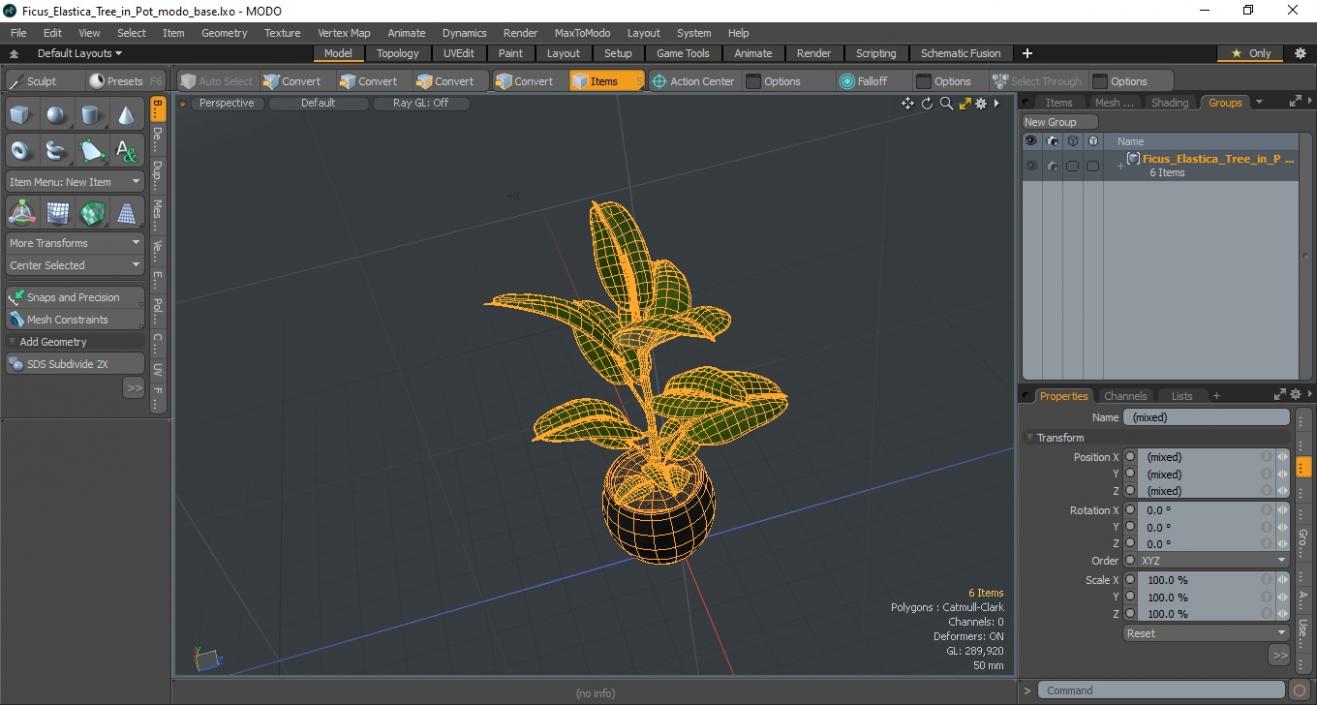 3D Ficus Elastica Tree in Pot